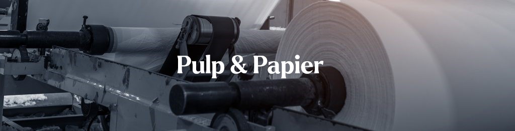 Pulp-and-paper-header-new-1024×261